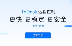 ToDesk v4.2.9 免费远程工具（windows远程工具）