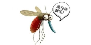 夏天蚊子太多怎么办？（对付蚊子最有效的方式）
